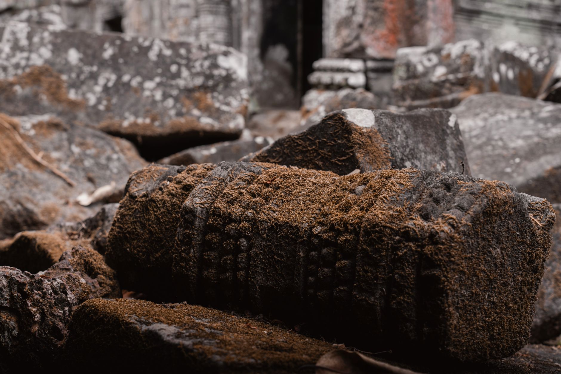 Détail de sculptures de pierre moussues dans un temple khmer au Cambodge.