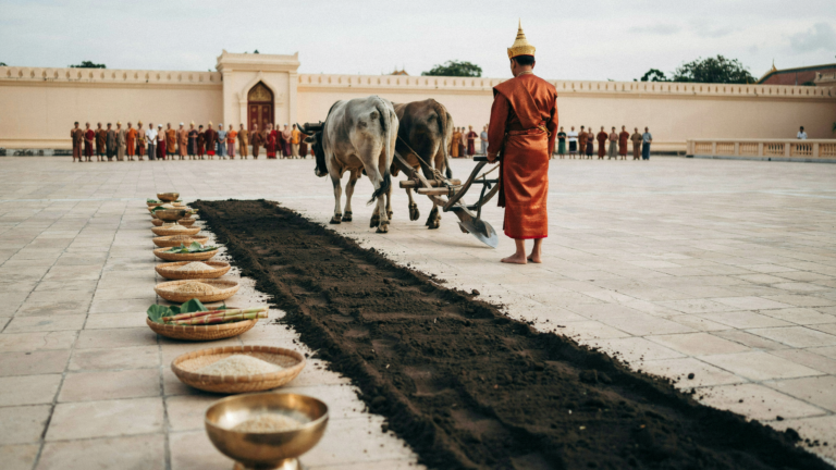 Fête du Sillon Sacré: rituel royal, calendrier agricole et lectures contemporaines