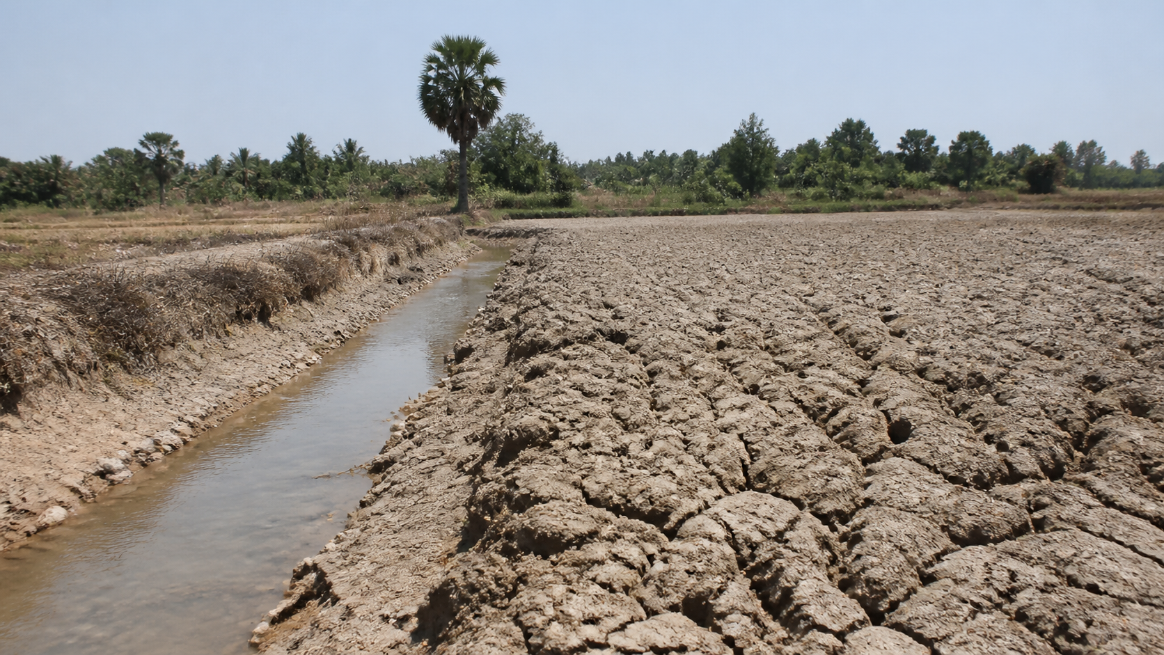La grande sécheresse cambodgienne documentée: causes, impacts et réponses