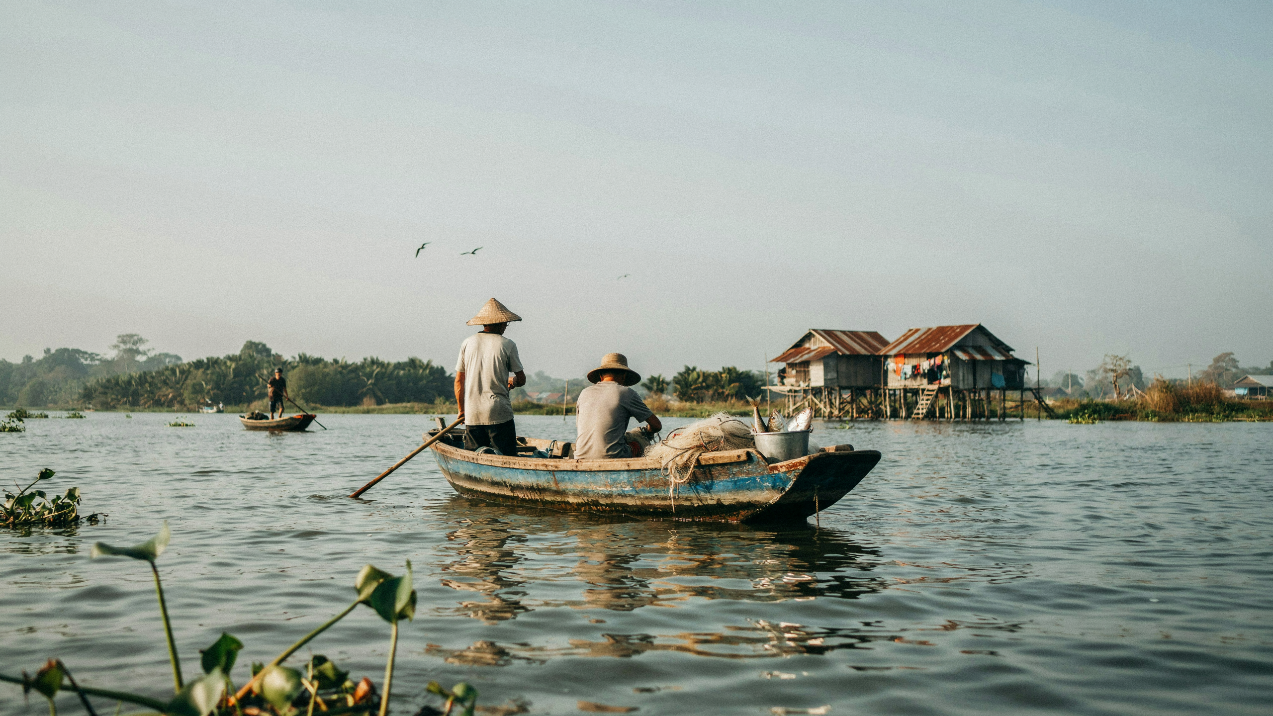 Tonlé Sap: pourquoi la pêche industrielle a été restreinte et ce qui a suivi