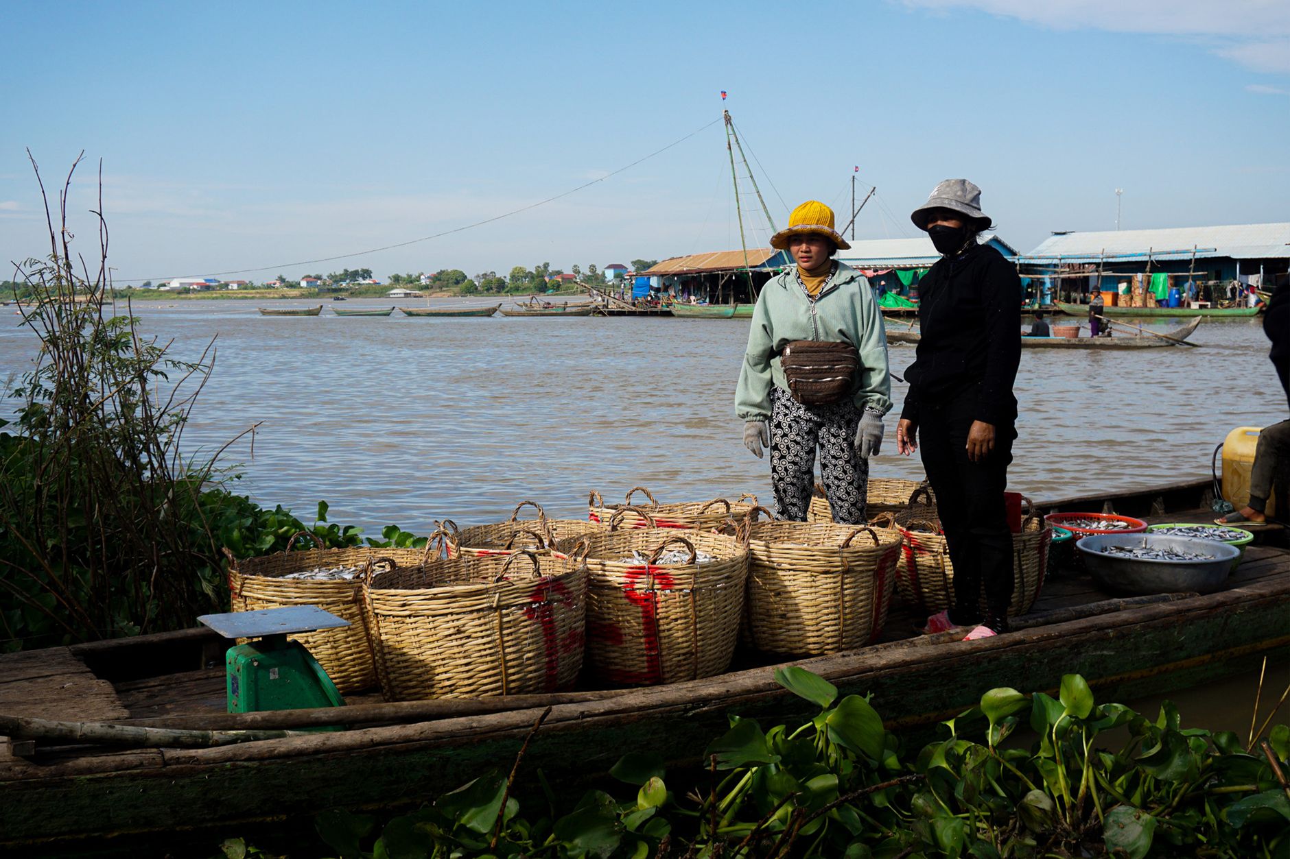Local vendors selling fish from a boat at Mekong River market in Kandal, Cambodia.