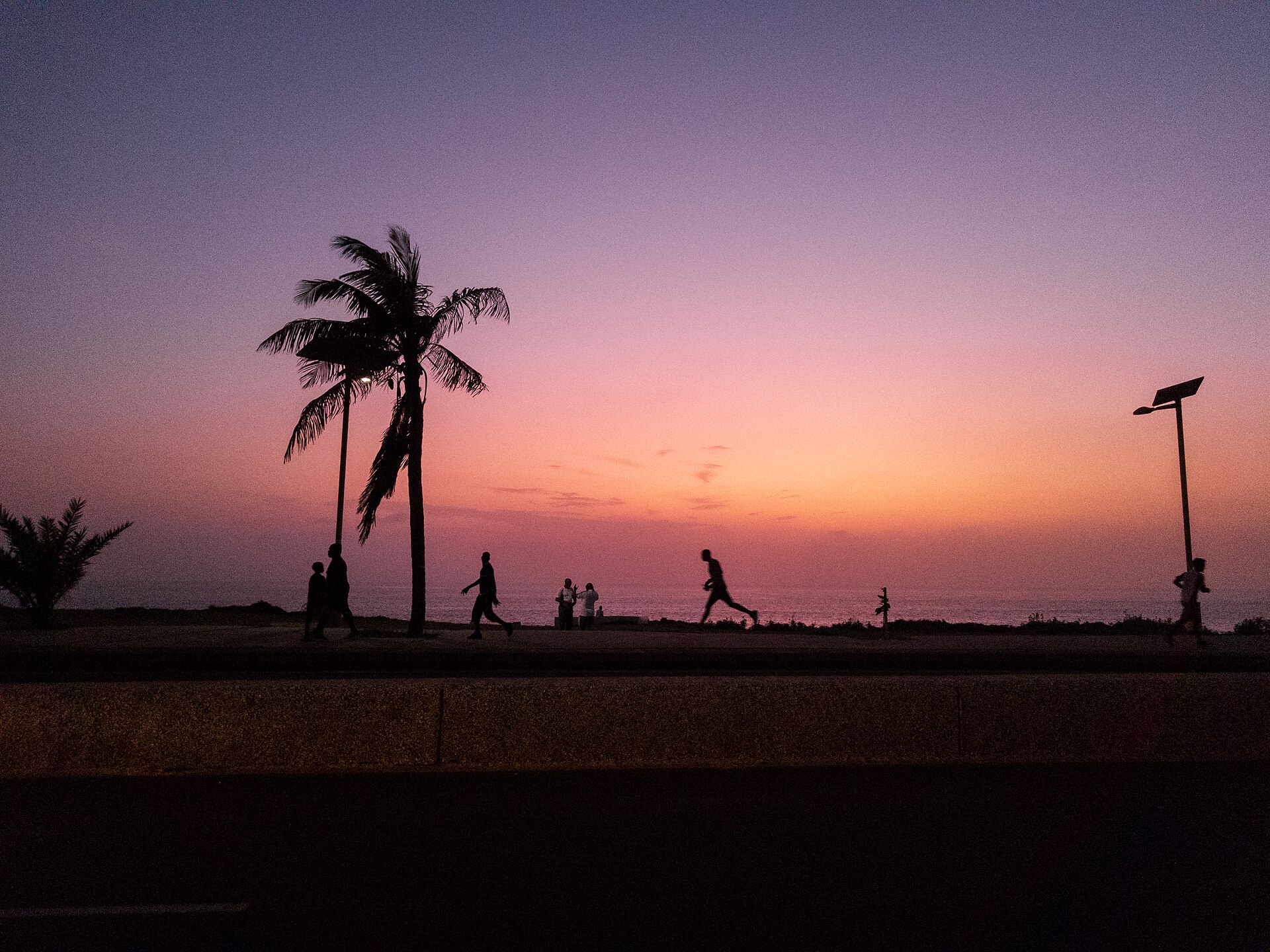 Silhouettes de coureurs sur une promenade bordée de palmiers, sous un ciel rose et violet au bord de la mer